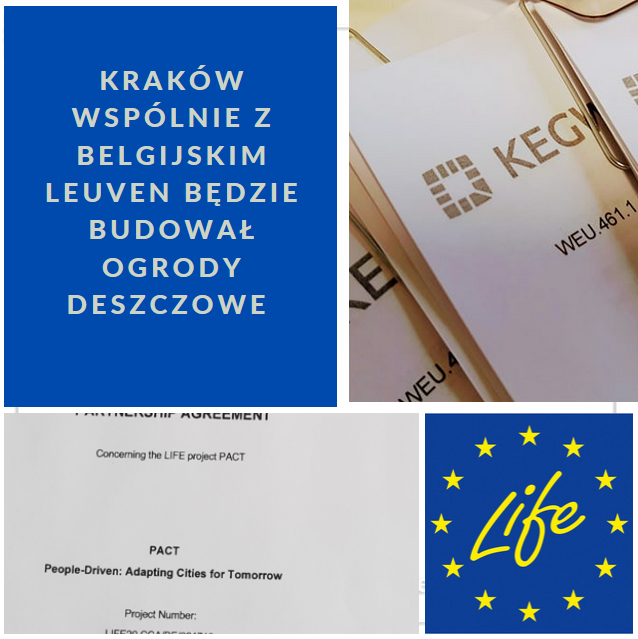 Krakowian i Belgów połączą ogrody deszczowe. Umowa z Leuven w ramach projektu PACT została podpisana.