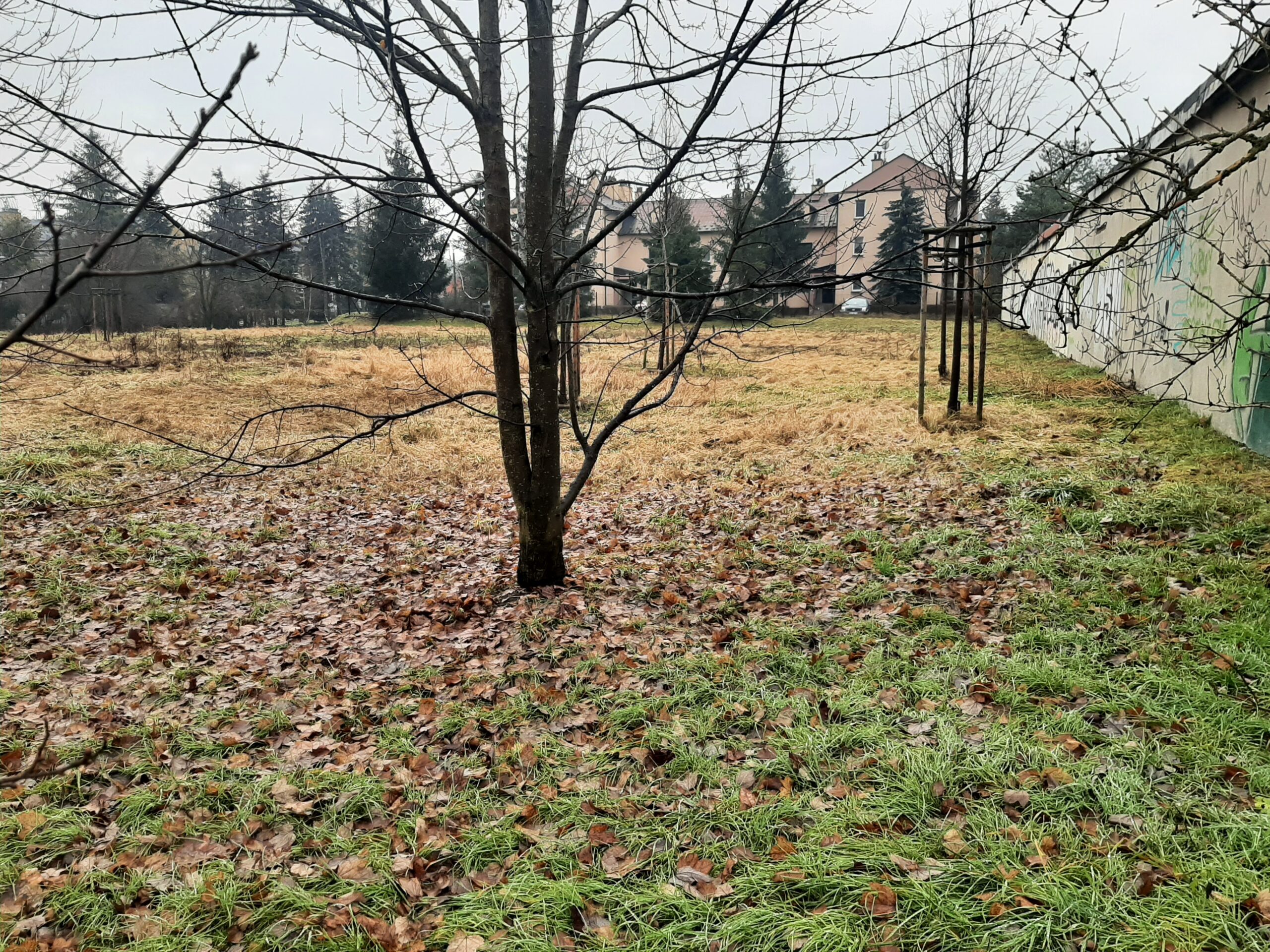 Rozpoczęły się prace projektowe związane z budową zbiornika retencyjnego przy ul.Udzieli w Bieżanowie.