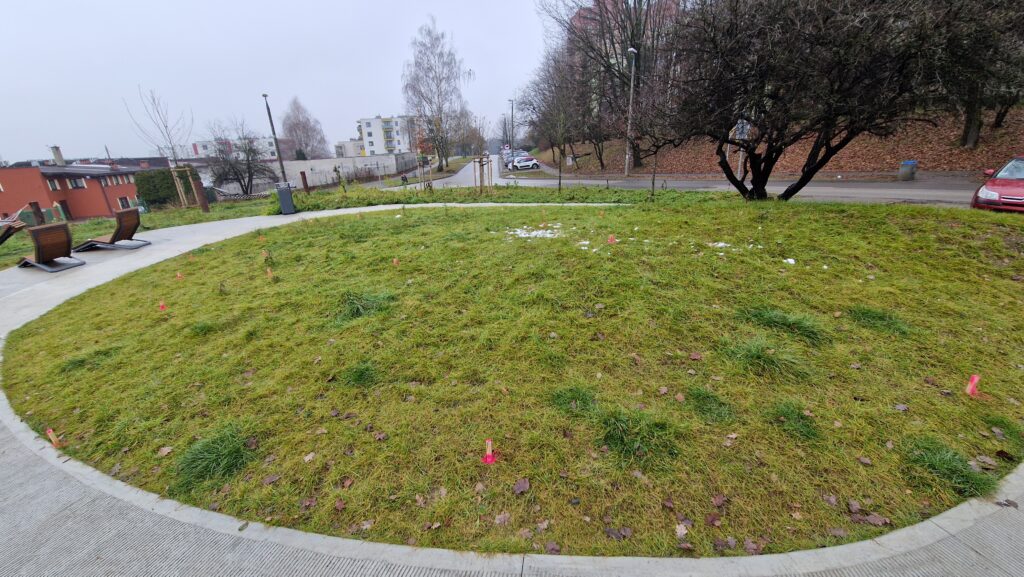 Paliki geodezyjne na trawie, w miejscu gdzie ma powstać tężnia.