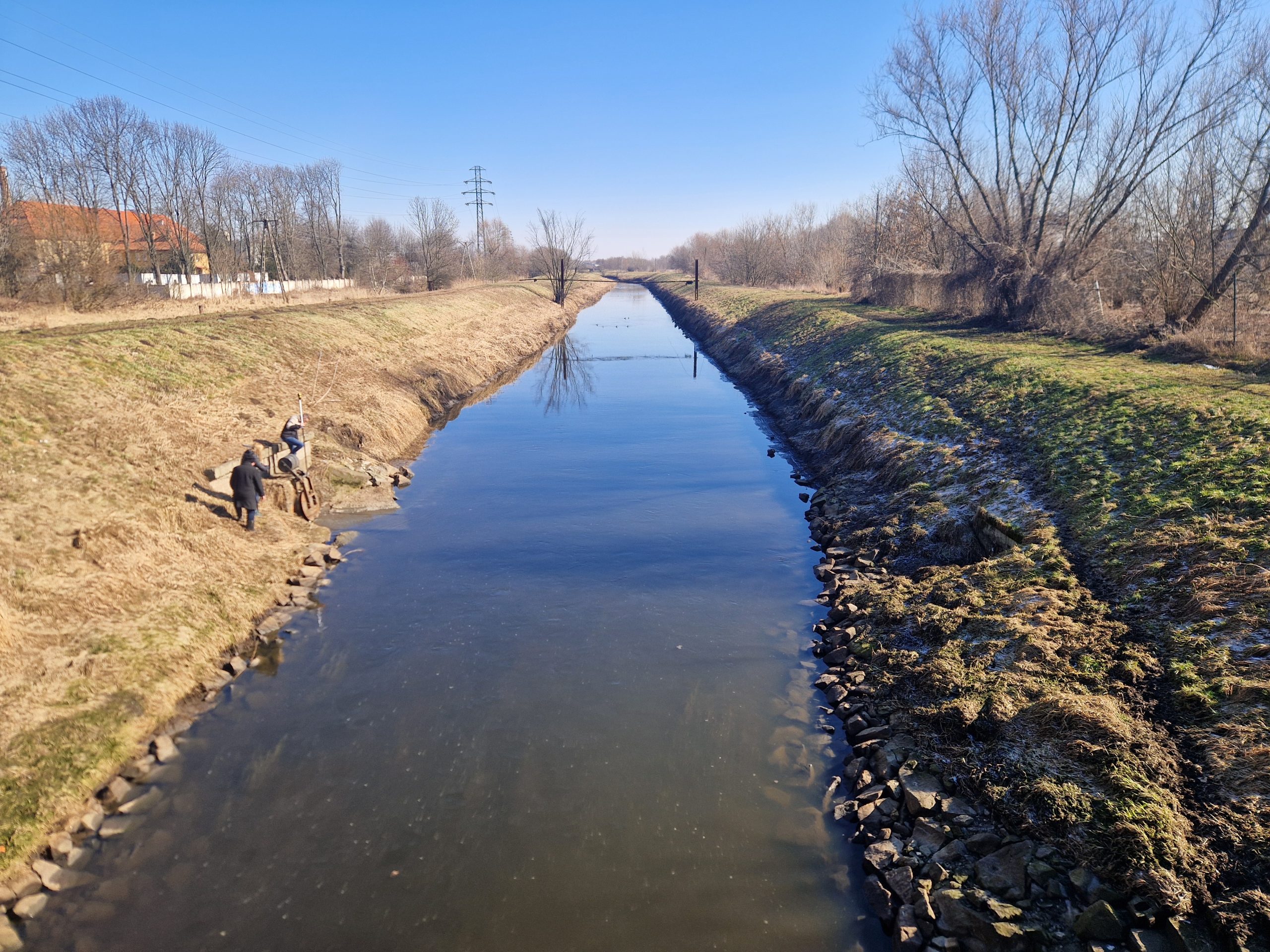 Wiosenny monitoring wylotów