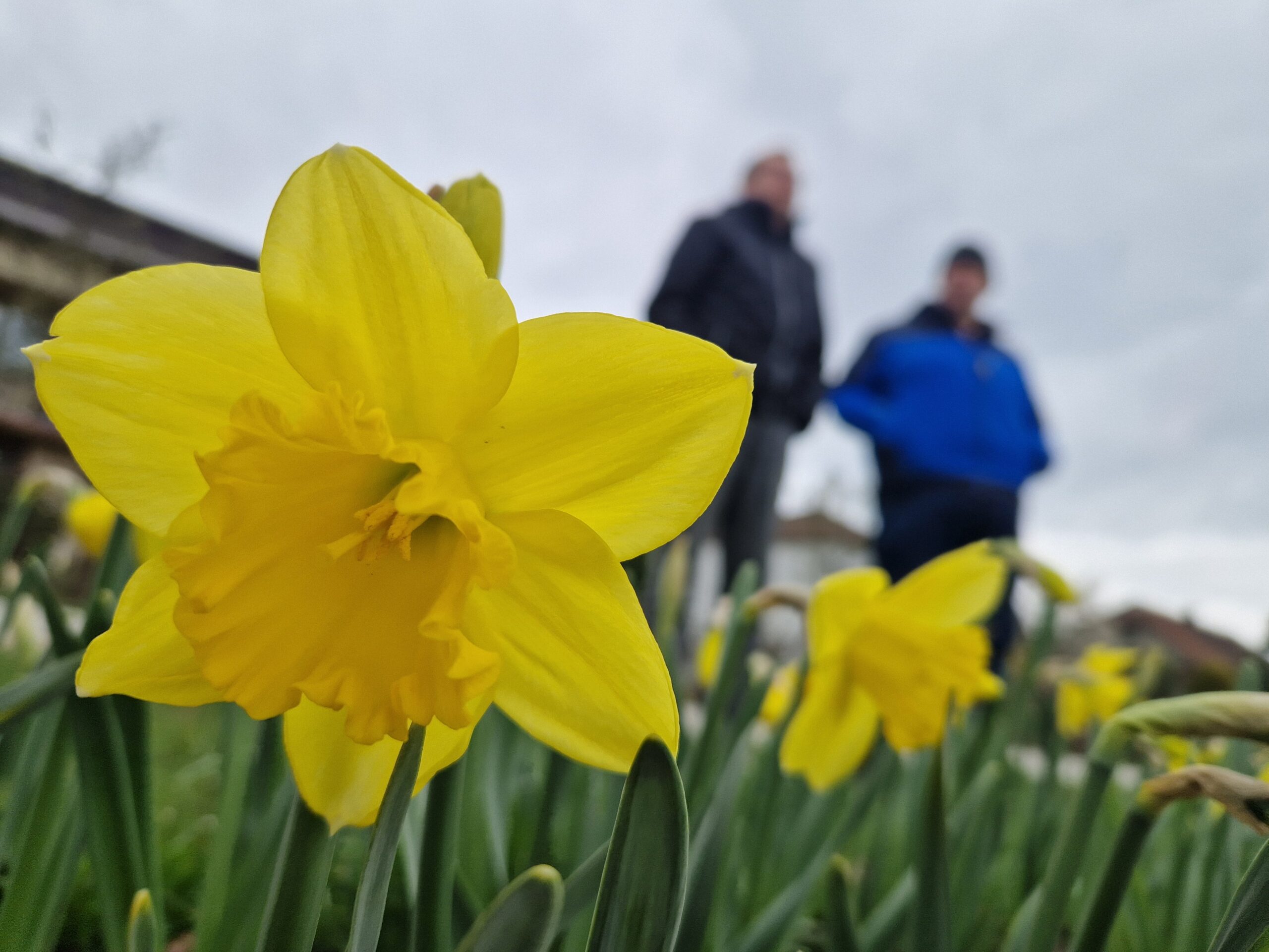 Mniej wody na&nbsp;ulicach, więcej spokoju. Krowodrza z&nbsp;3 ofertami na&nbsp;zbiornik Zarzecze, a&nbsp;Burzowa z&nbsp;6 ofertami na&nbsp;nasadzenia.